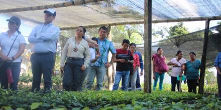 1.000 hectáreas de bosque fueron restauradas en Sucumbíos