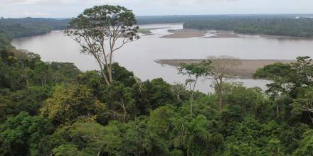 Con más de un millón de hectáreas, el Yasuní es el área natural protegida más grande del Ecuador continental / Foto: El Oriente