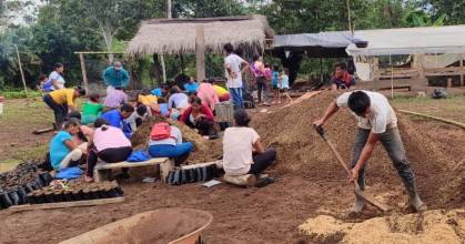 36 productores de Loreto recibieron 10.000 plantas de cacao 