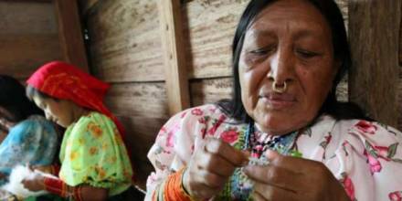 Ocho lenguas indígenas ecuatorianas están en peligro
