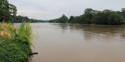 Ríos San Miguel y Aguarico se desbordan tras más de 16 horas de lluvias