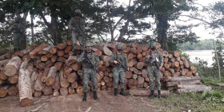 Fuerzas Armadas continúan decomisando madera ilegal en Sucumbíos