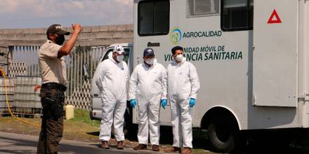 Nuevas muestras serán tomadas en granjas avícolas en Cotopaxi