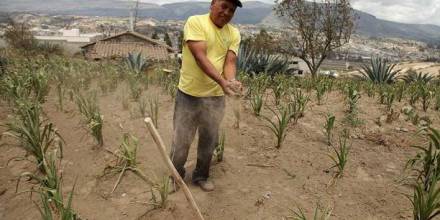 Grave sequía destruye los cultivos en Cotopaxi