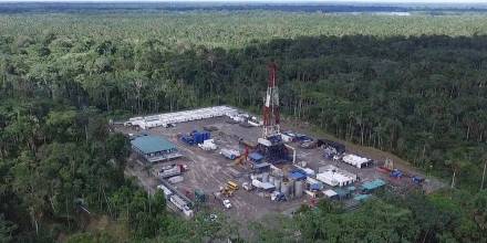 Las reservas de esos campos tienen crudo pesado, lo cual requiere tecnología especializada para su extracción / Foto: cortesía Petroecuador