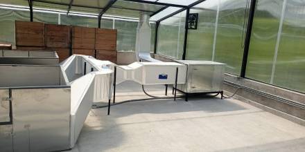 El uso de energía térmica para secar granos es ineficiente y se puede mejorar utilizando colectores solares o acumuladores solares / Foto: IIGE