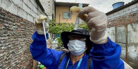 Los casos y fallecidos por dengue aumentan en Ecuador