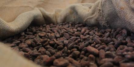 Ecuador expone su producción de cacao en Bélgica