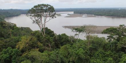 Inventos sobre grupos indígenas de Ecuador son parte clave del fraude contra Chevron
