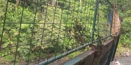 Colapso de puente en Puyo dejó 8 heridos
