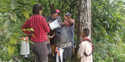 La Federación Shuar ejecuta un proyecto de cacao orgánico con el apoyo de Lundin Gold