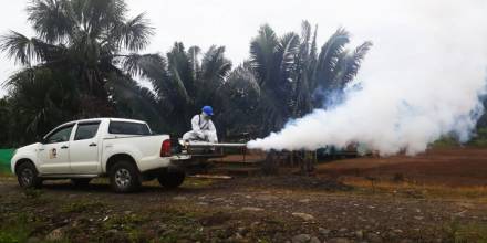 Ecuador registra 31 muertes por dengue