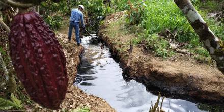 Imagenes de las afectaciones por derrame de crudo en Aguarico