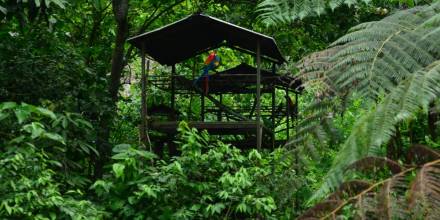 El Parque Turístico Nueva Loja, un oasis de 30,9 hectáreas