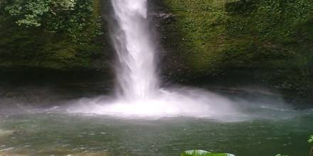 Pastaza: Descubriendo la imponente Cascada Llandia  