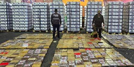 Perros antidroga ayudaron a incautar 800 kilos de cocaína en Guayaquil