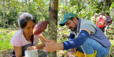 En el taller aprendieron sobre los tipos de injertos, las variedades a utilizar y las herramientas necesarias / Foto: cortesía MAG