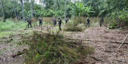Acusan incursión del Ejército ecuatoriano en el Putumayo