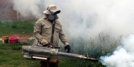 El gobierno declaró alerta epidemiológica en 3 provincias por brote de dengue