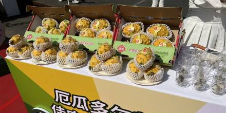 En 2 semanas se efectuaron 17 envíos con un total de 11.432,50 kilos de pitahaya, correspondiente a 4.573 cajas exportadas / Foto: cortesía Embajada de Ecuador en China