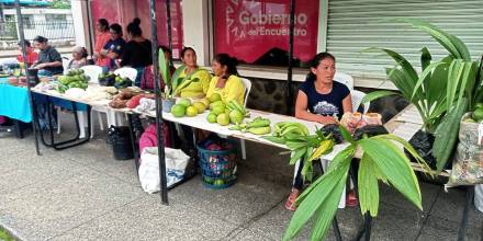 Se promocionaron varios productos como: artesanías, textiles, manualidades, plantas y alimentos amazónicos/ Foto: Cortesía MIES