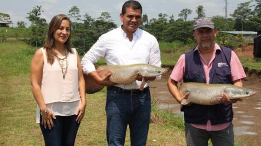 Foto: El Comercio