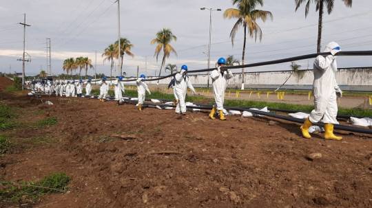 Obra de soterramiento de cables eléctricos se entregó en tres comunidades de Shushufindi / Foto:  cortesía Petroecuador