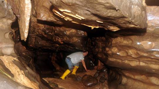 Interior de una sección de la Cueva de los Tayos. Foto: El Universo
