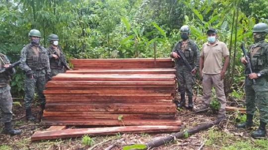 El Ejército incautó madera y armas en Sucumbíos / Foto: Cortesía de Ejército ecuatoriano