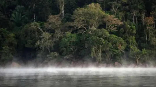 ALERTA. Según el informe, existe una conexión directa entre la expansión de las vías y la eliminación de la vegetación nativa. Foto: La Hora