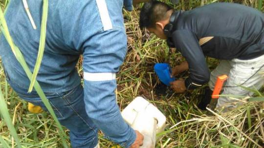 Según las primeros detalles de los residentes, la cantidad sería de unos 3.000 galones. Aunque se está indagando el número exacto. Foto: Extra