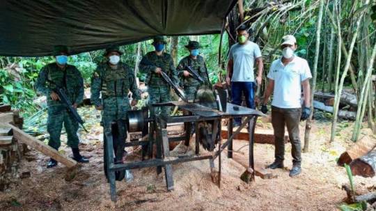  Miembros de Fuerzas Armadas localizaron un aserradero clandestino en la reserva Cuyabeno. Foto: Cortesía