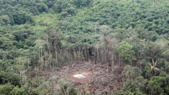 Bombardeo en Sucumbíos fue definitivo para la derrota de las FARC / Foto EFE