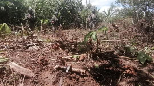 Militares encontraron pinchazo y planta clandestina en Sucumbíos / Cortesía de las Fuerzas Armadas
