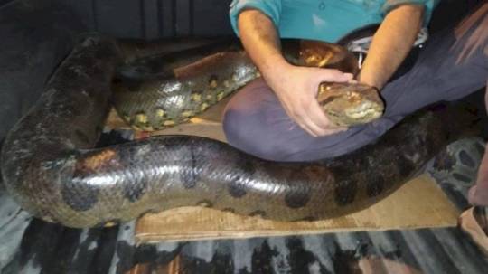 Foto: NotiAmazonía