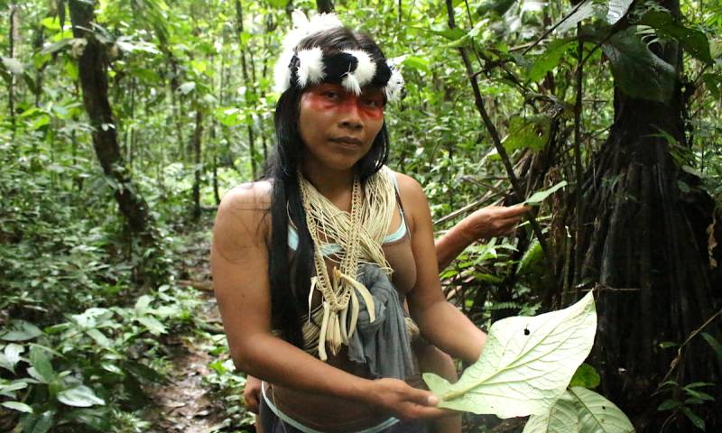 En Ecuador no existen protocolos específicos para los pueblos indígenas en situaciones como la que Foto: Daniela Aguilar.