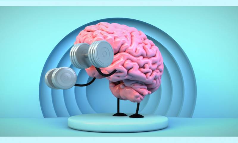 Ejercitar la mente a través de desafíos intelectuales puede ayudar a mantener la plasticidad cerebral/ Foto: cortesía