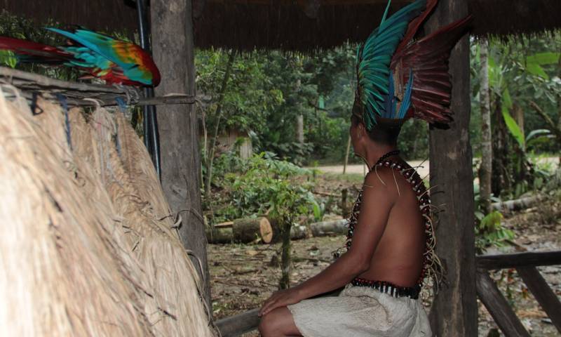 Indígenas amazónicos, vulnerables a la pandemia / Foto: El Oriente
