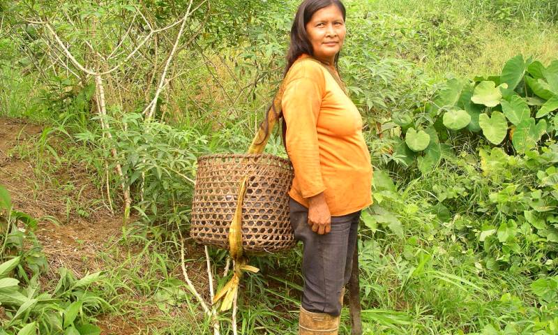 Algunos pobladores de la Amazonía utilizan a diario el machete y las botas de caucho para sus actividades.