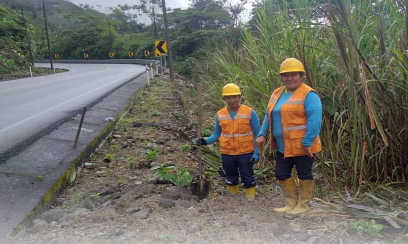 En esta red vial trabajan dos microempresas: Teniente Ortiz e Indillama, que benefician a 15 familias de la zona, entre ellas Cariajano y Grefa / Foto: Cortesía ministerio de Transporte