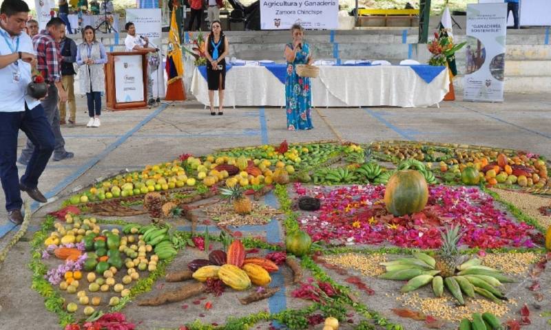 65 productores de los cantones Yacuambi, Zamora, Yantzaza, Pangui, Centinela del Cóndor, Pangui, intercambiaron semillas nativas / Foto: cortesía ministerio de Agricultura