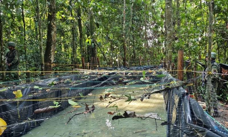 Los soldados encontraron 1 acople clandestino, 1 piscina artesanal y 600 metros de manguera / Foto: cortesía Fuerzas Armadas