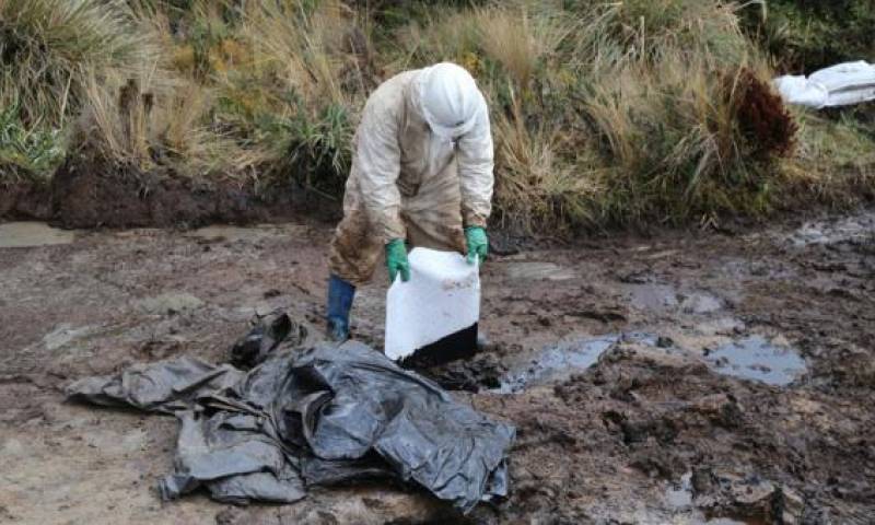 En un sector del Parque Nacional Cayambe Coca se detectó un derrame de petróleo, ocasionado por una tubería clandestina que transporta el crudo. Foto: EL COMERCIO  