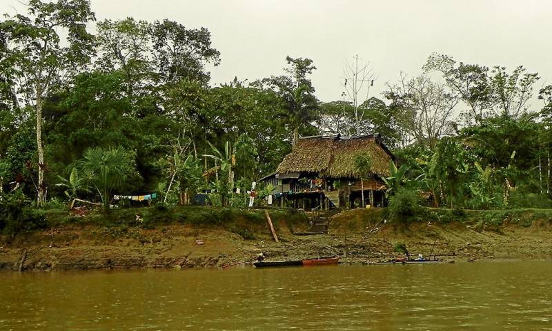 Parque Nacional Yasuní, en el oriente ecuatoriano  - Foto: El Diario