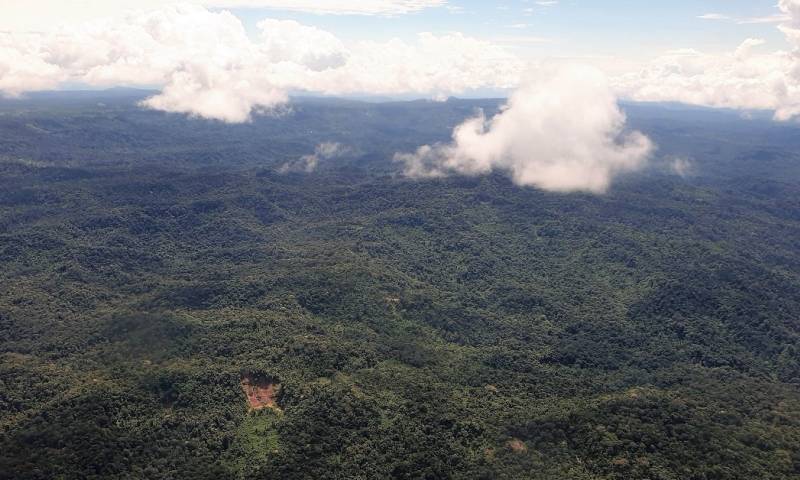 Plan Biorregional 2030 para proteger la Amazonía de Ecuador y Perú fue presentado / Foto: EFE