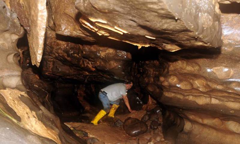 Interior de una sección de la Cueva de los Tayos. Foto: El Universo