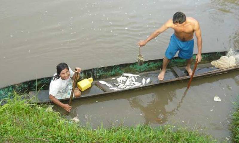 En las comunidades hay un consumo de 1 kilogramo al mes por persona de pescado. Foto: El Comercio