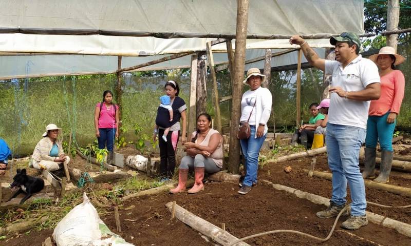 La iniciativa se hizo posible a través del proyecto implementado por la Unidad de Gestión de Desarrollo Rural de la Dirección Distrital de Napo / Foto: cortesía ministerio de Agricultura