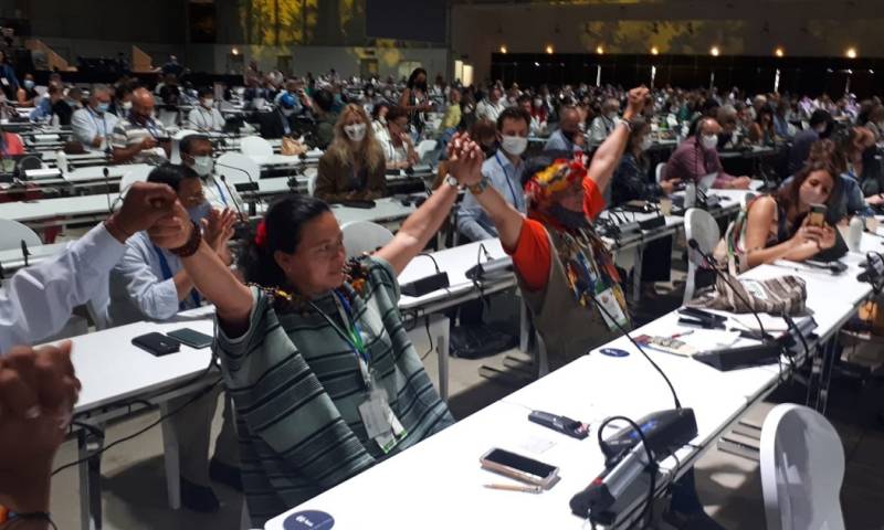 El Congreso de la UICN aprueba proteger el 80 % de la Amazonía para 2025 / Foto: cortesía UICN