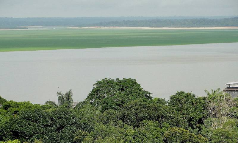 Francia finanza proyecto para proteger millones de hectáreas en la Amazonía / Foto: EFE